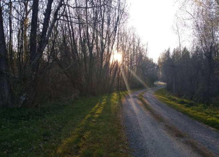 Sunset at Niverson Associates CPA in Maple Valley, WA